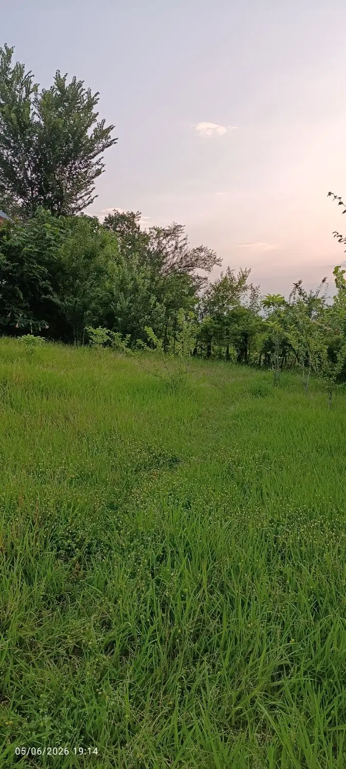 تصویر املاک 108268