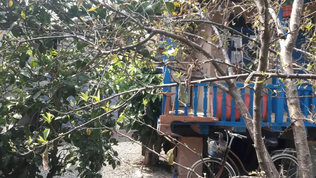 تصویر املاک 120866