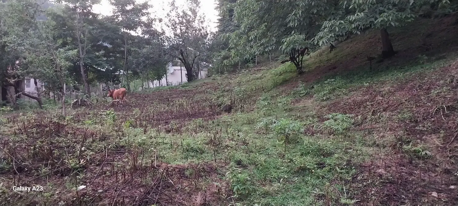 تصویر املاک 76200