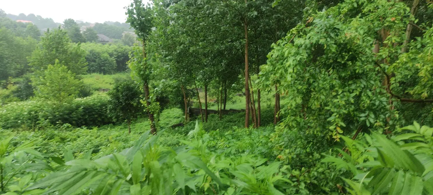 تصویر املاک 86910