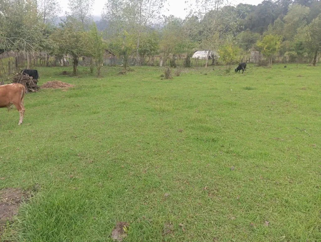 تصویر املاک 138607
