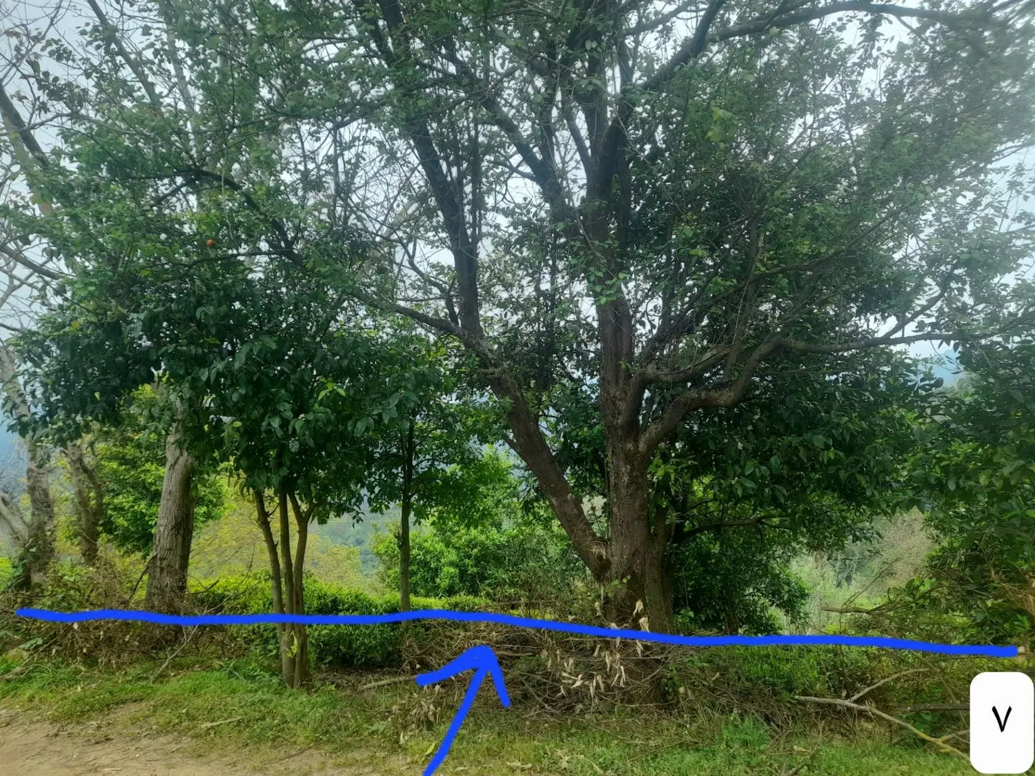 تصویر املاک 72805