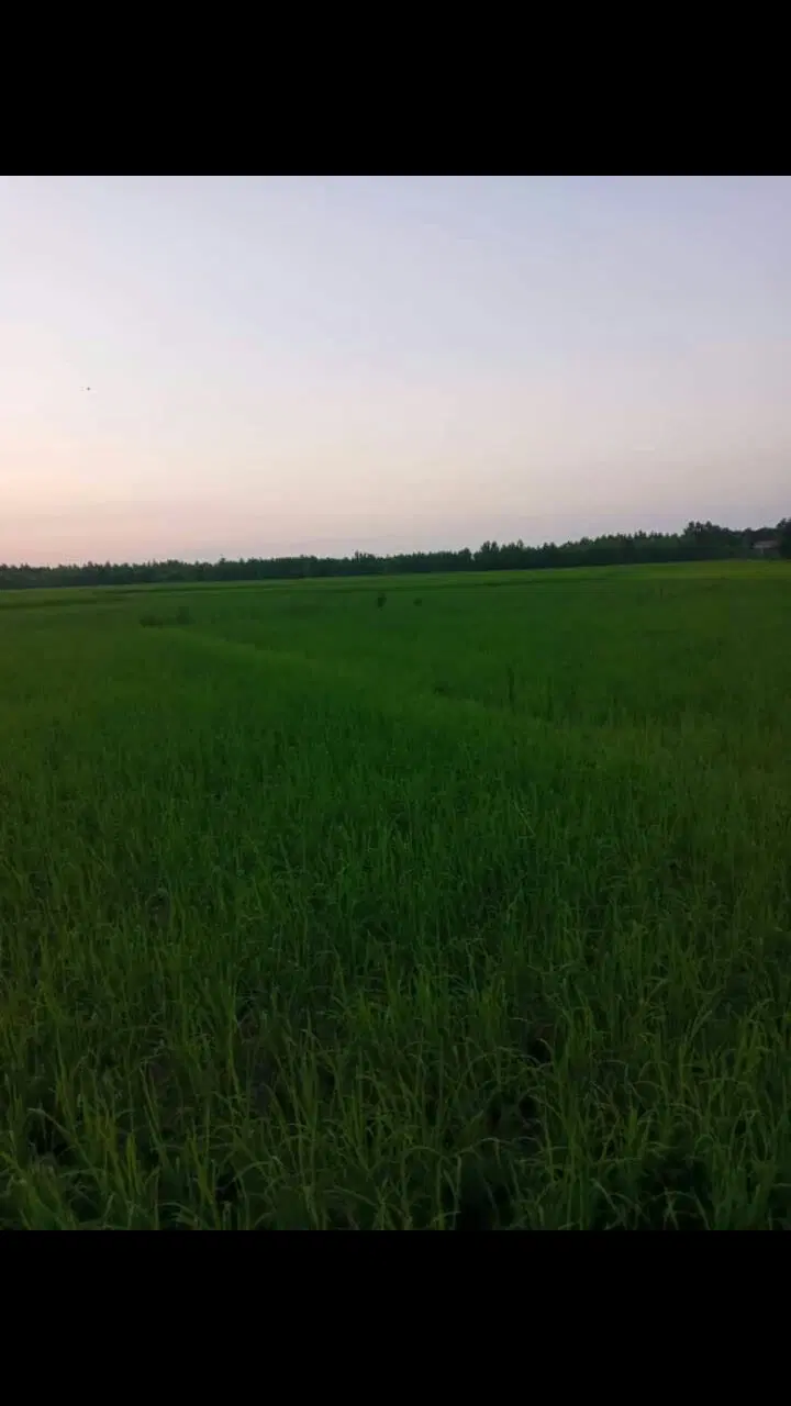 تصویر املاک 98271