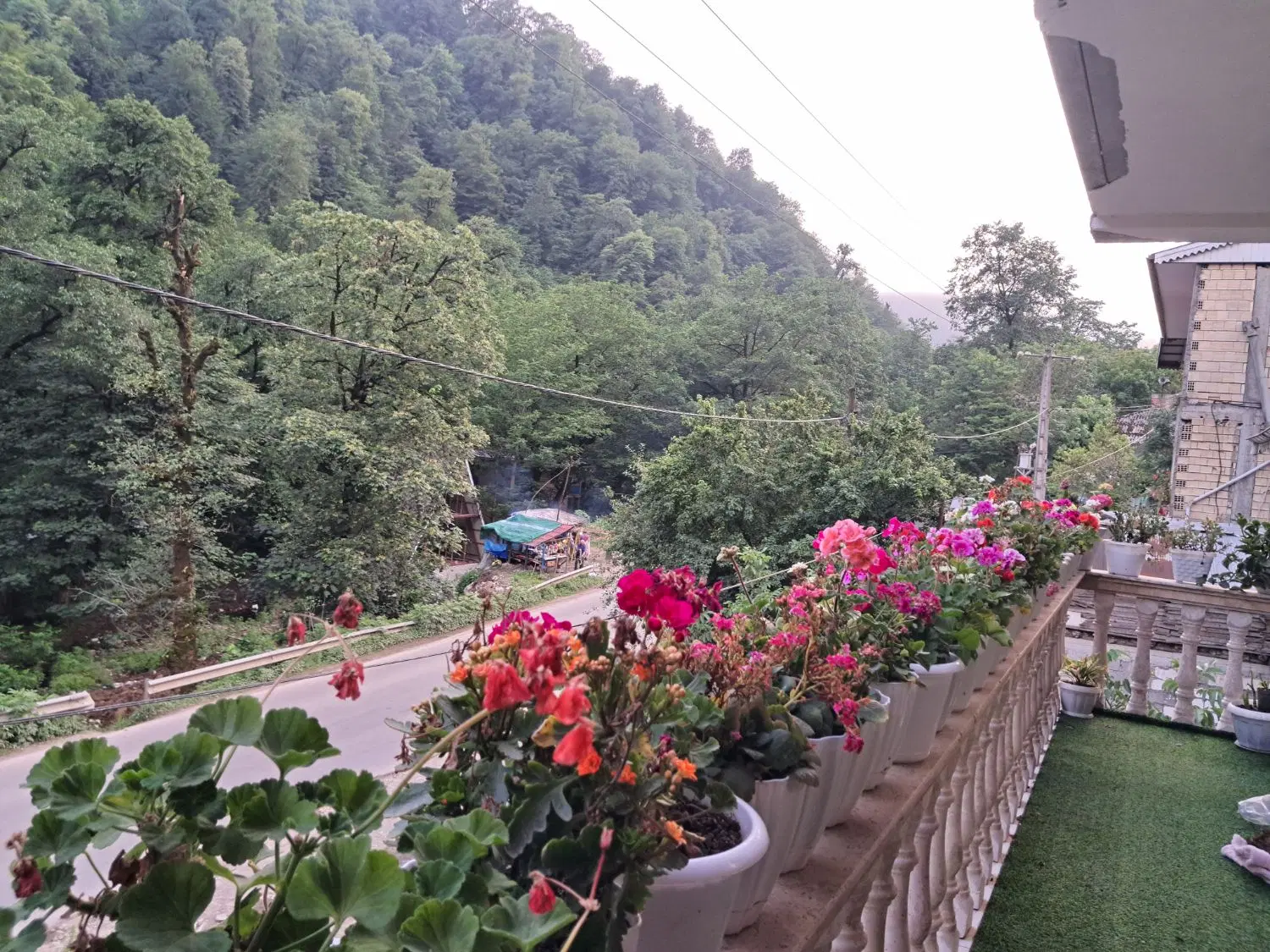 تصویر املاک 117423
