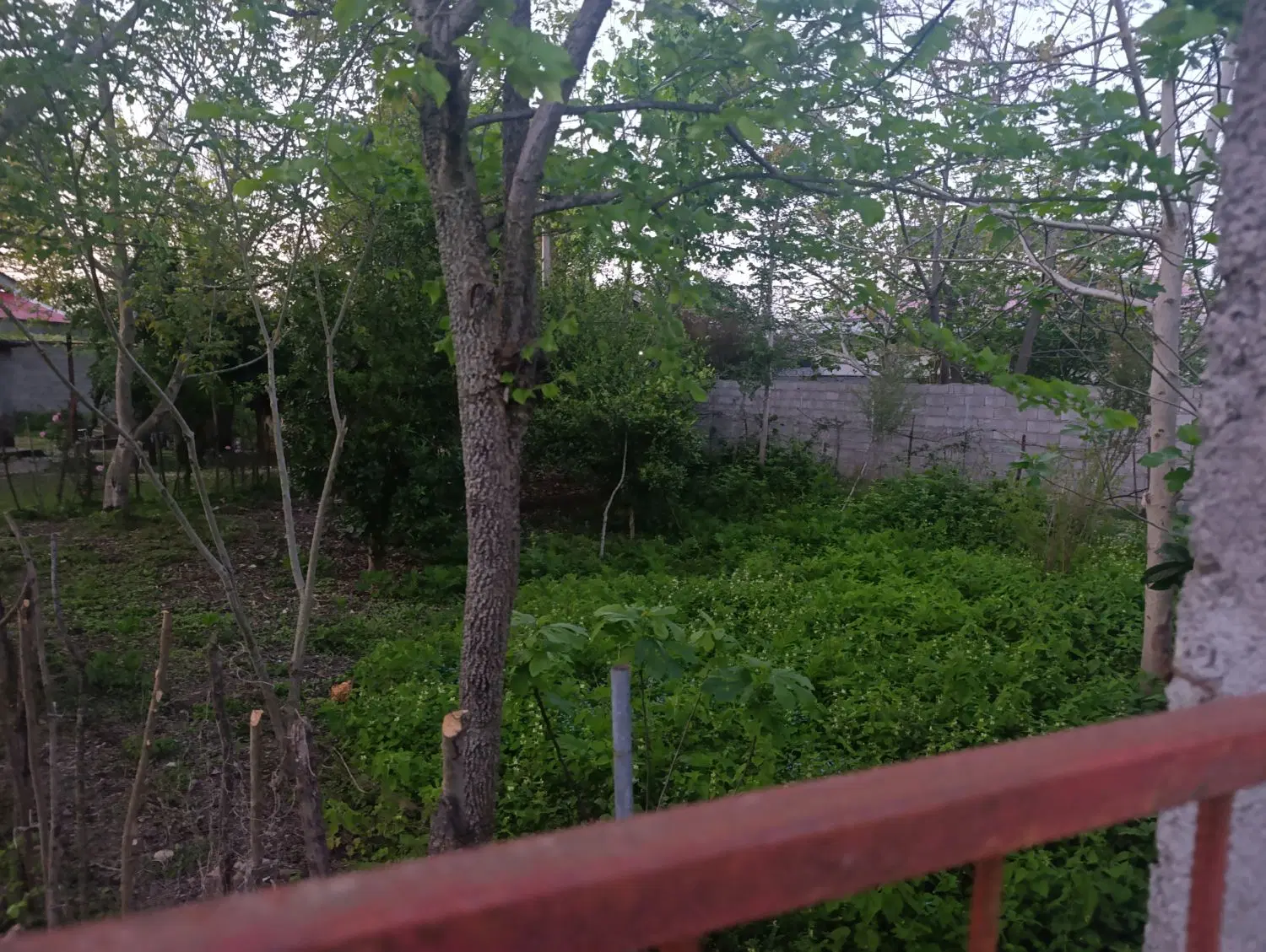 تصویر املاک 80977