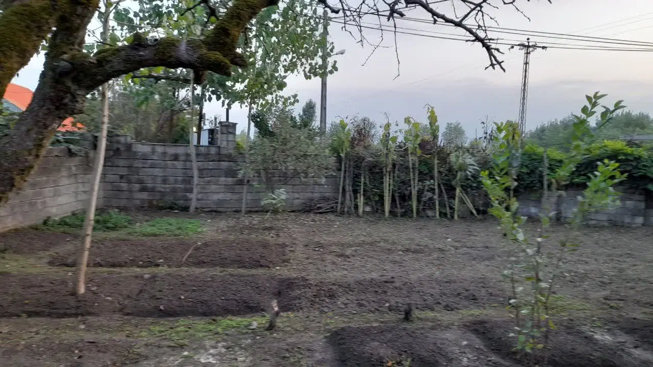 تصویر املاک 75781