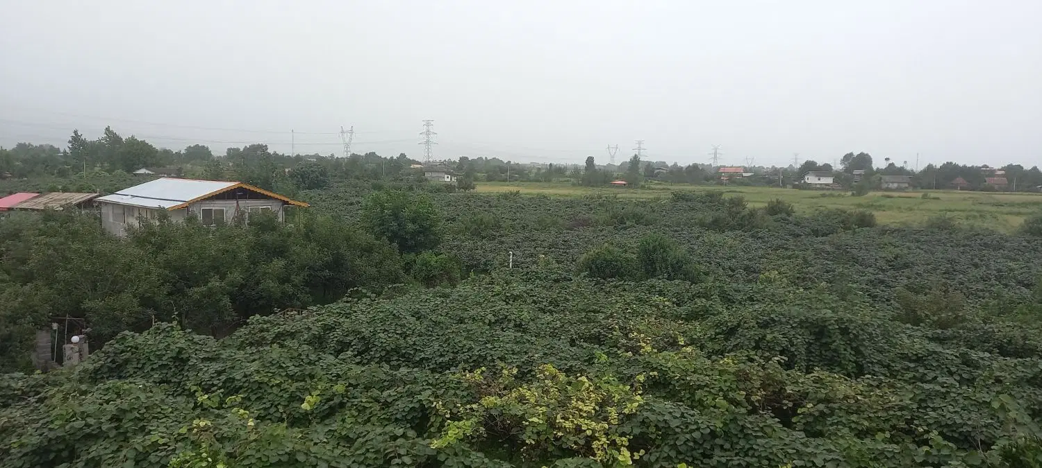 تصویر املاک 117582