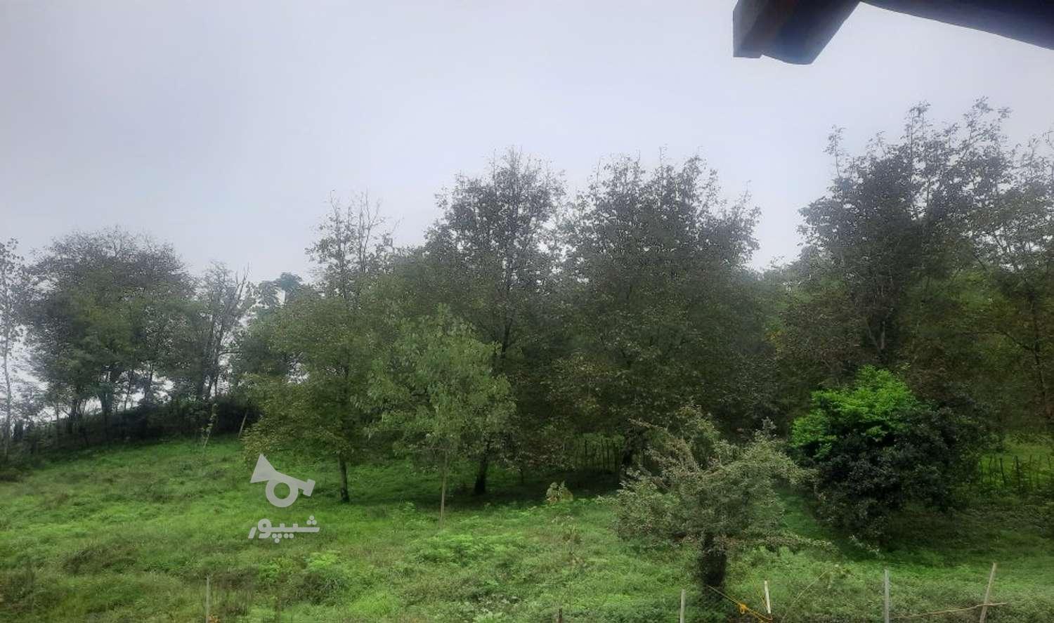 تصویر املاک 16720