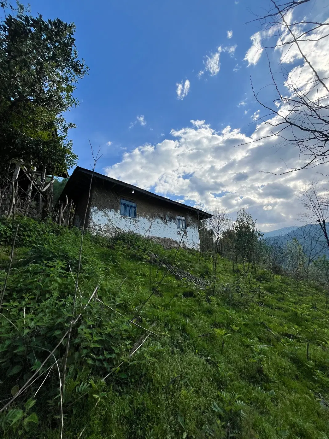 تصویر املاک 105600