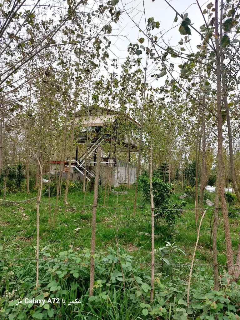تصویر املاک 138817