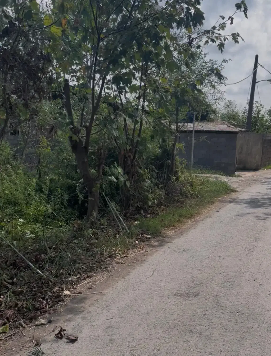 تصویر املاک 40728
