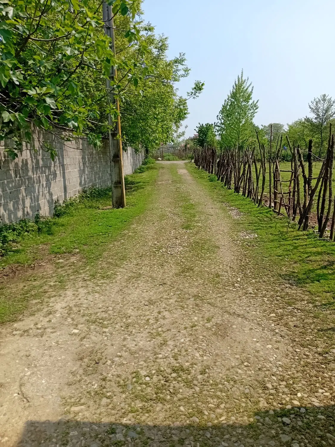 تصویر املاک 106227