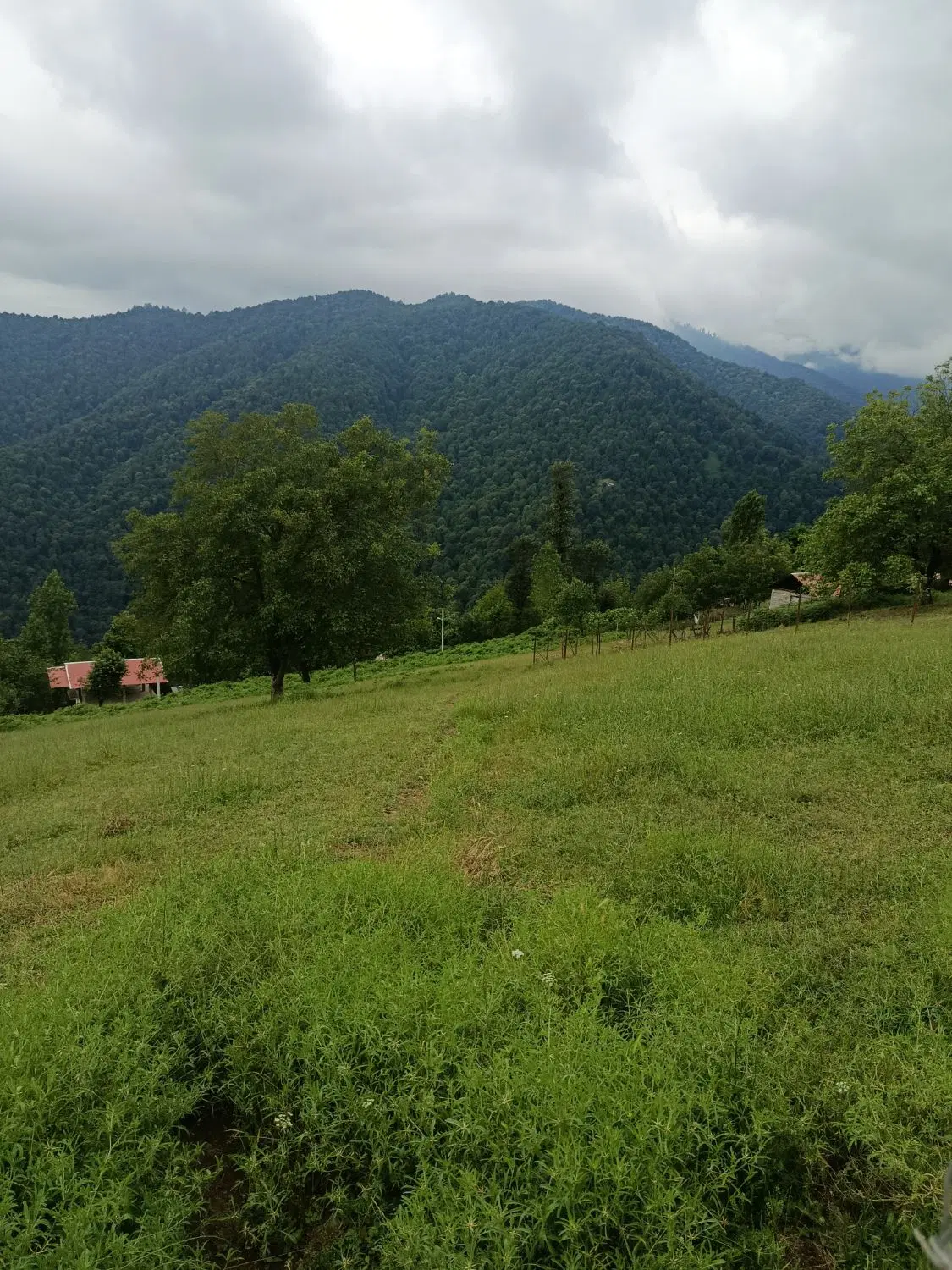 تصویر املاک 79467