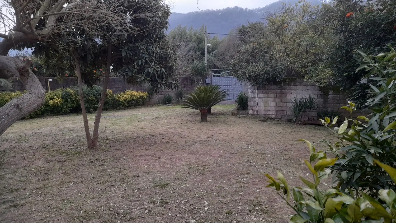 تصویر املاک 44687