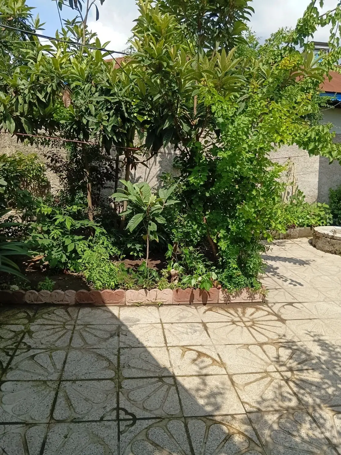تصویر املاک 72261