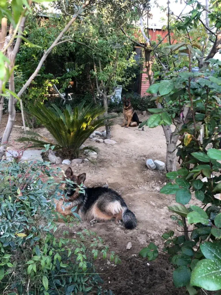 تصویر املاک 143037