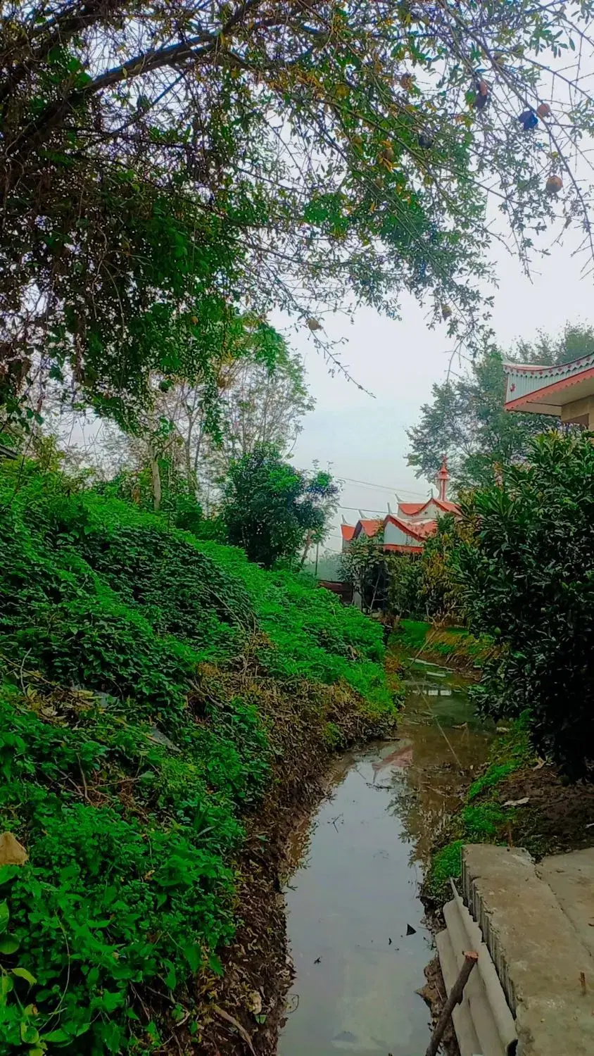 تصویر املاک 95791