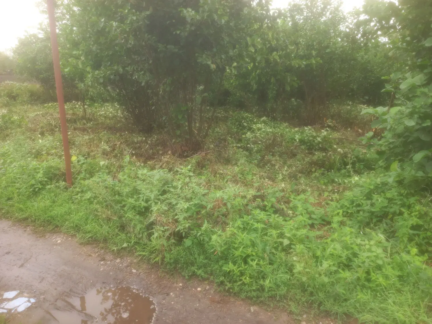تصویر املاک 120582