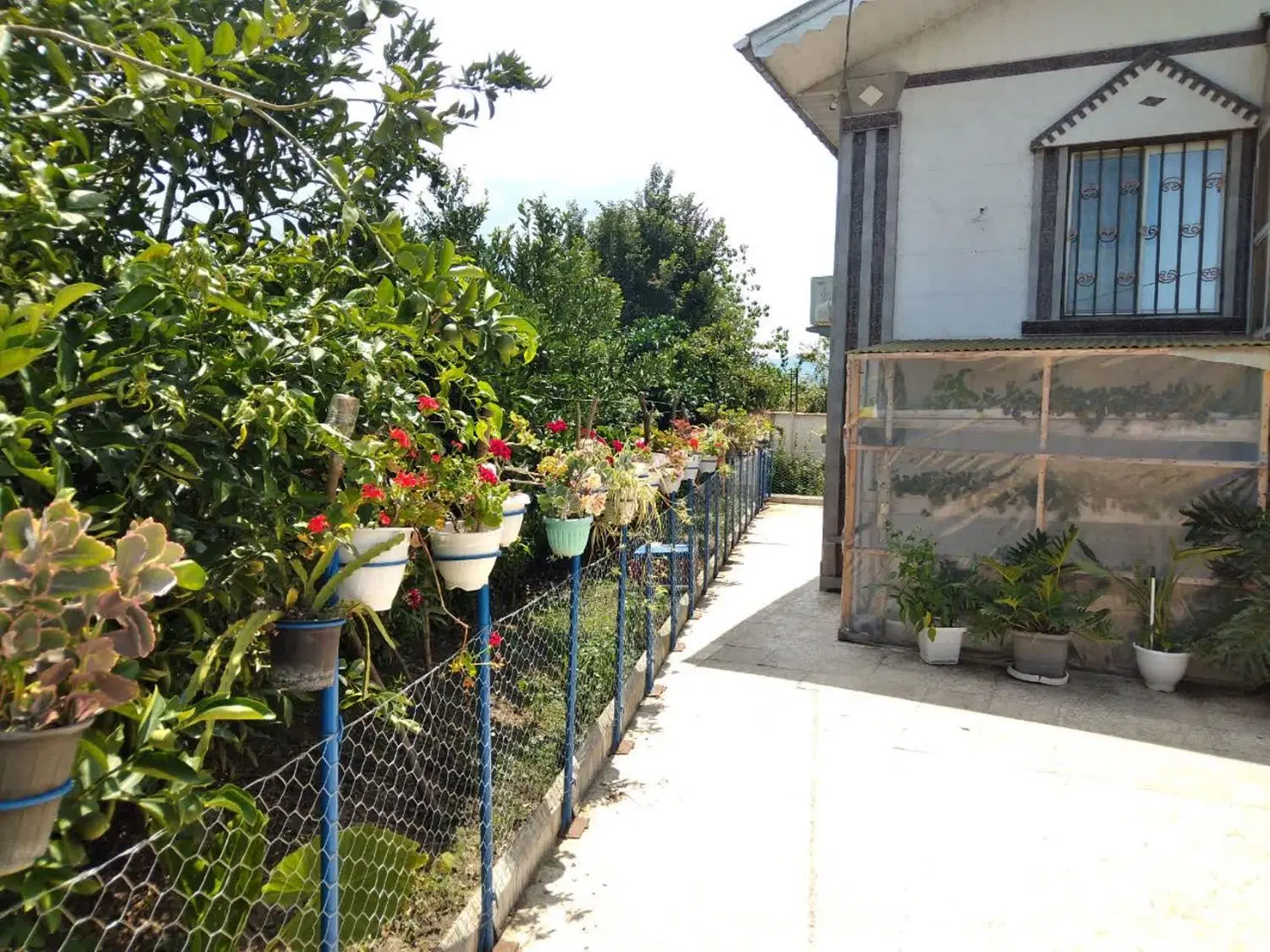 تصویر املاک 97945