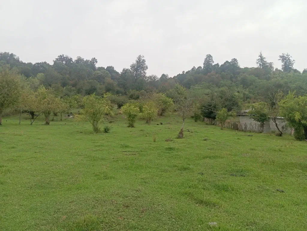 تصویر املاک 138606