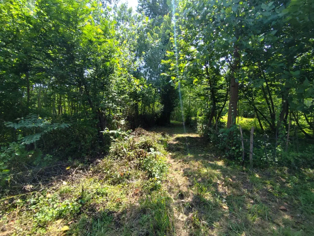 تصویر املاک 144881