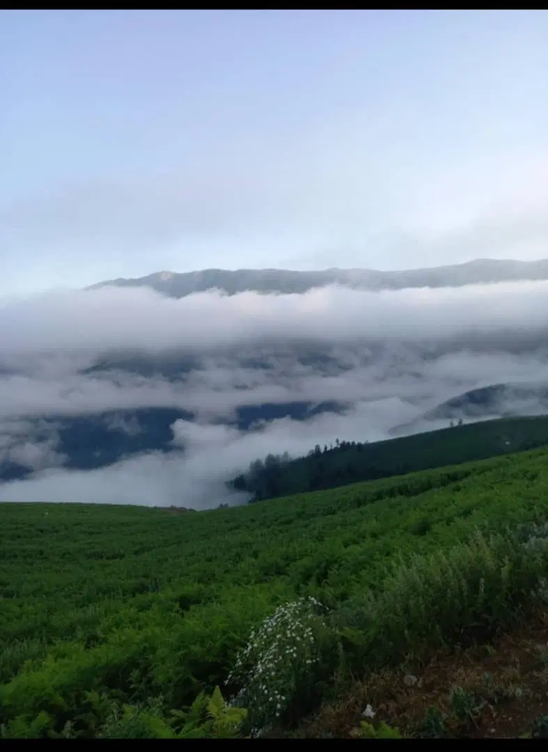 تصویر املاک 96695