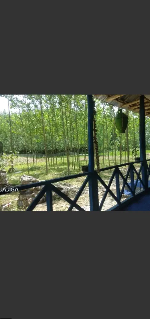 تصویر املاک 96656