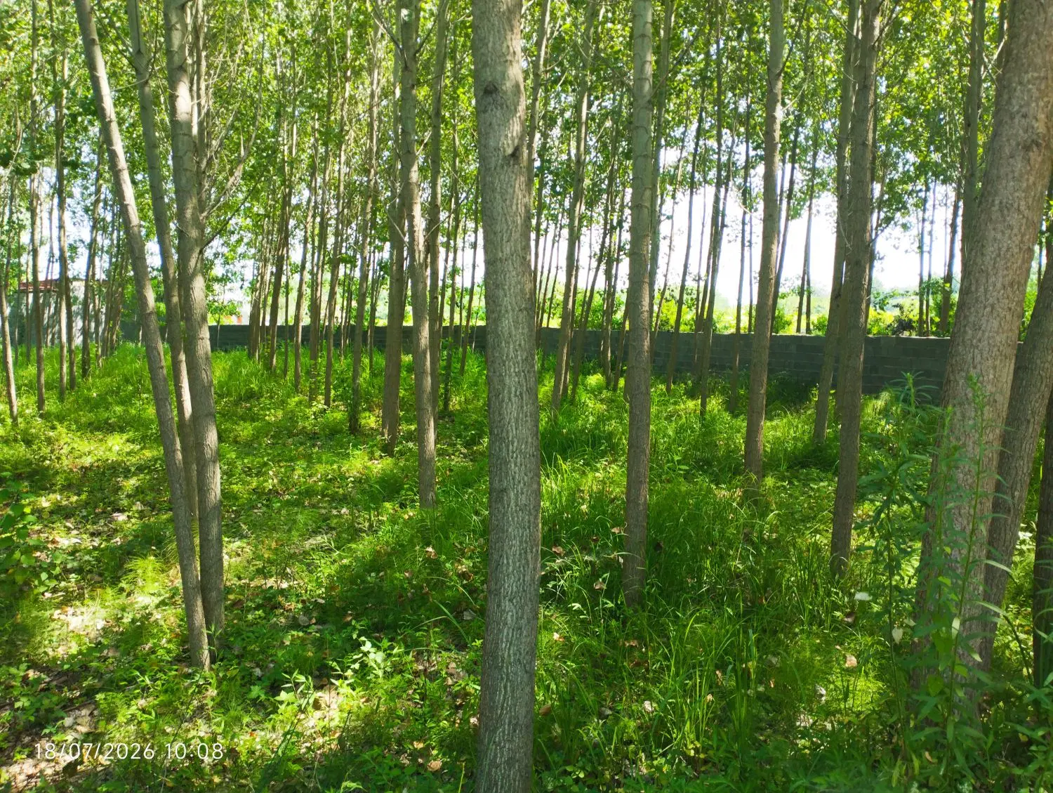 تصویر املاک 81604