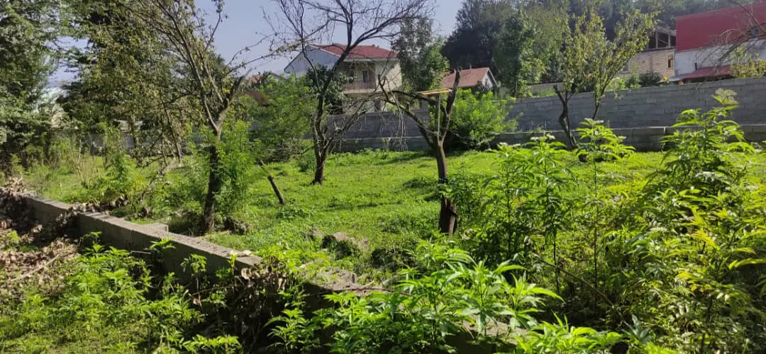تصویر املاک 65051