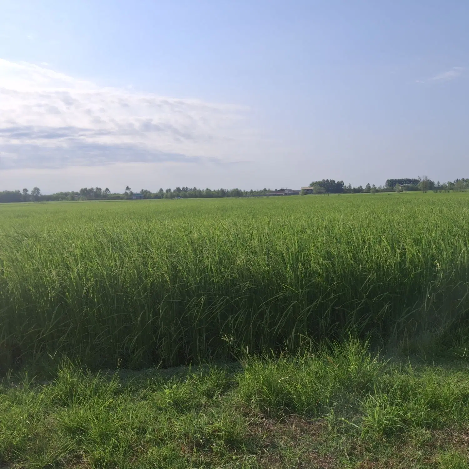 تصویر املاک 86328