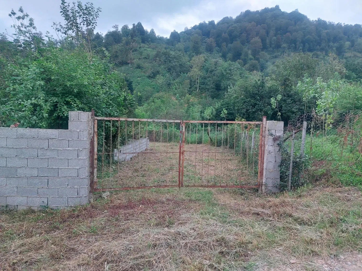 تصویر املاک 128941