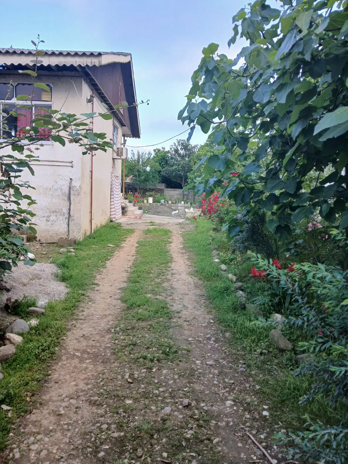 تصویر املاک 104639