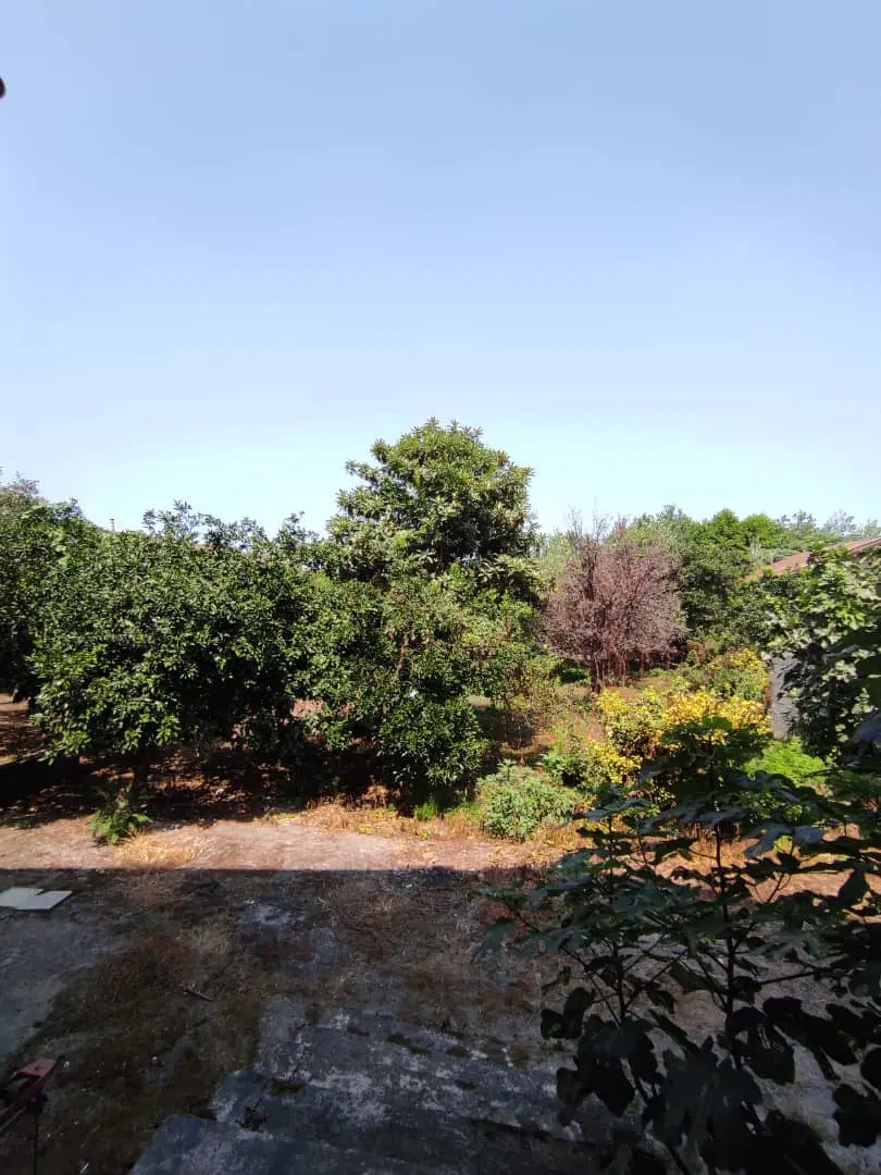 تصویر املاک 112404