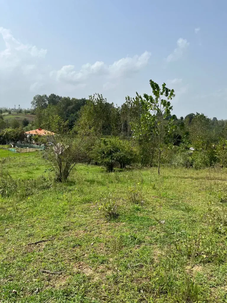 تصویر املاک 140425