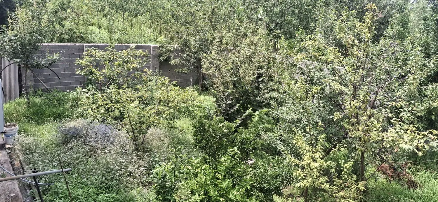 تصویر املاک 76387