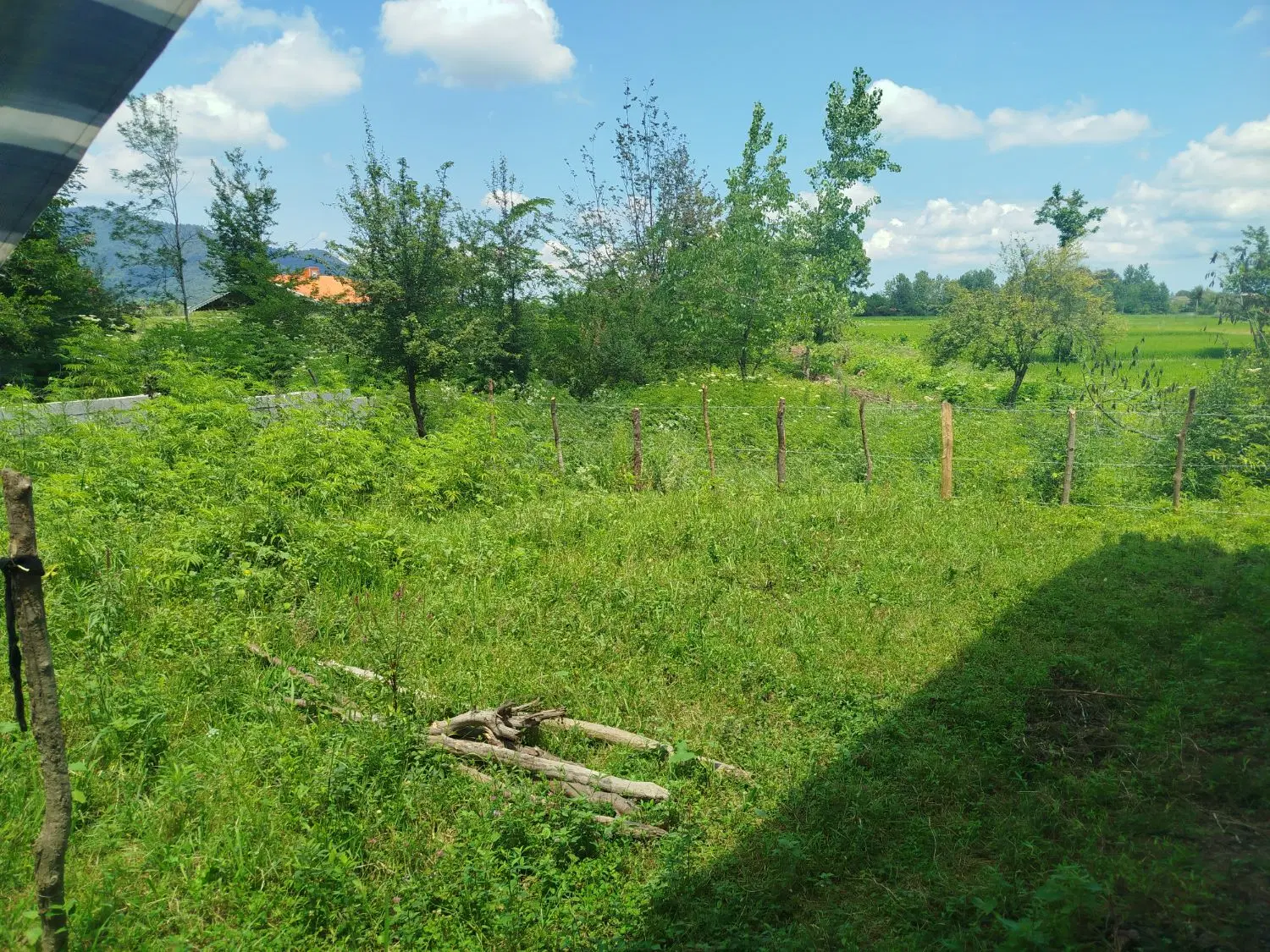 تصویر املاک 66115