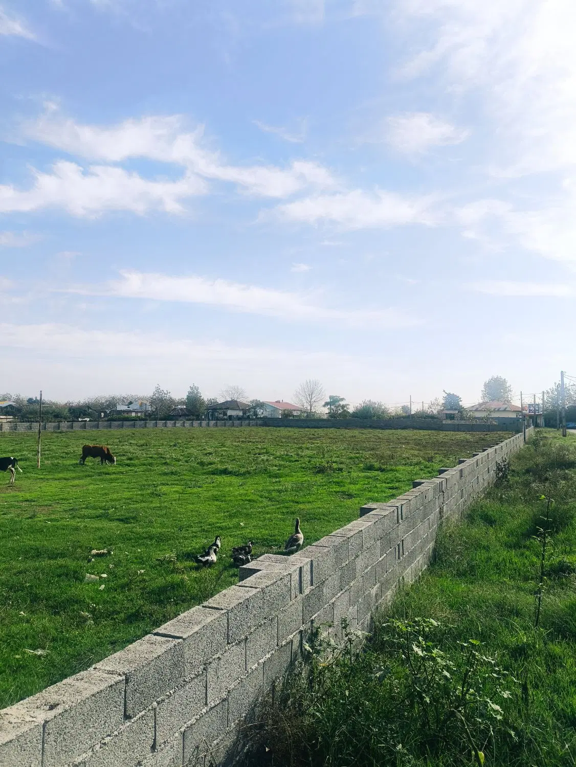 تصویر املاک 110966