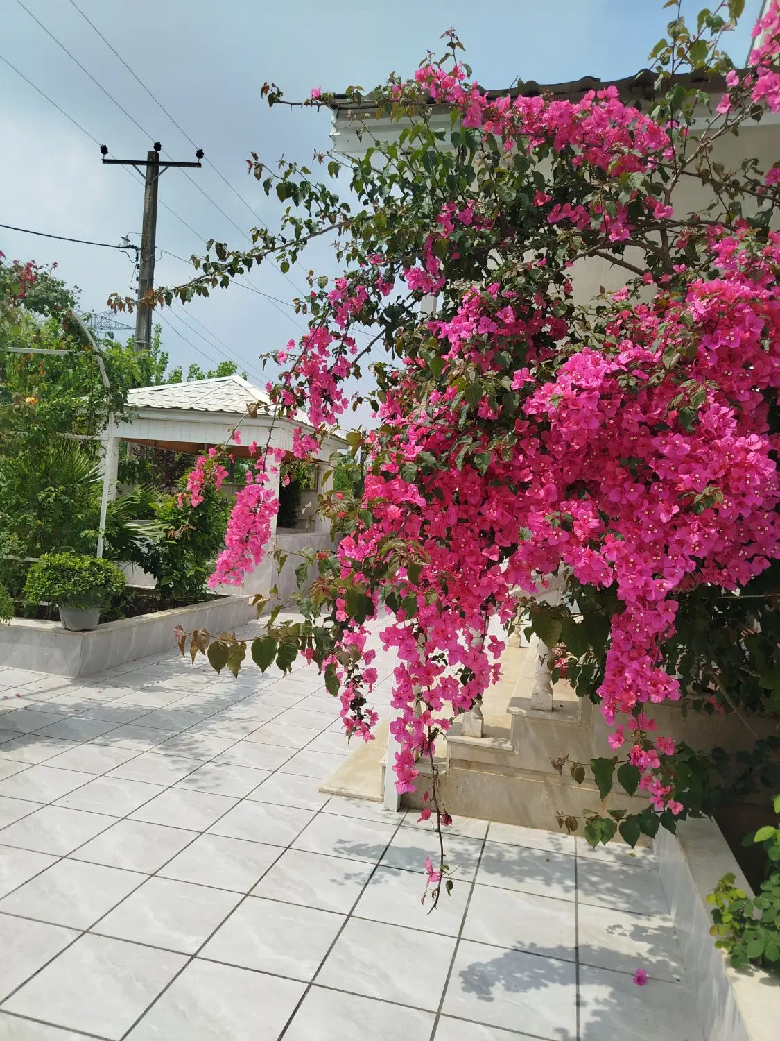 تصویر املاک 83026