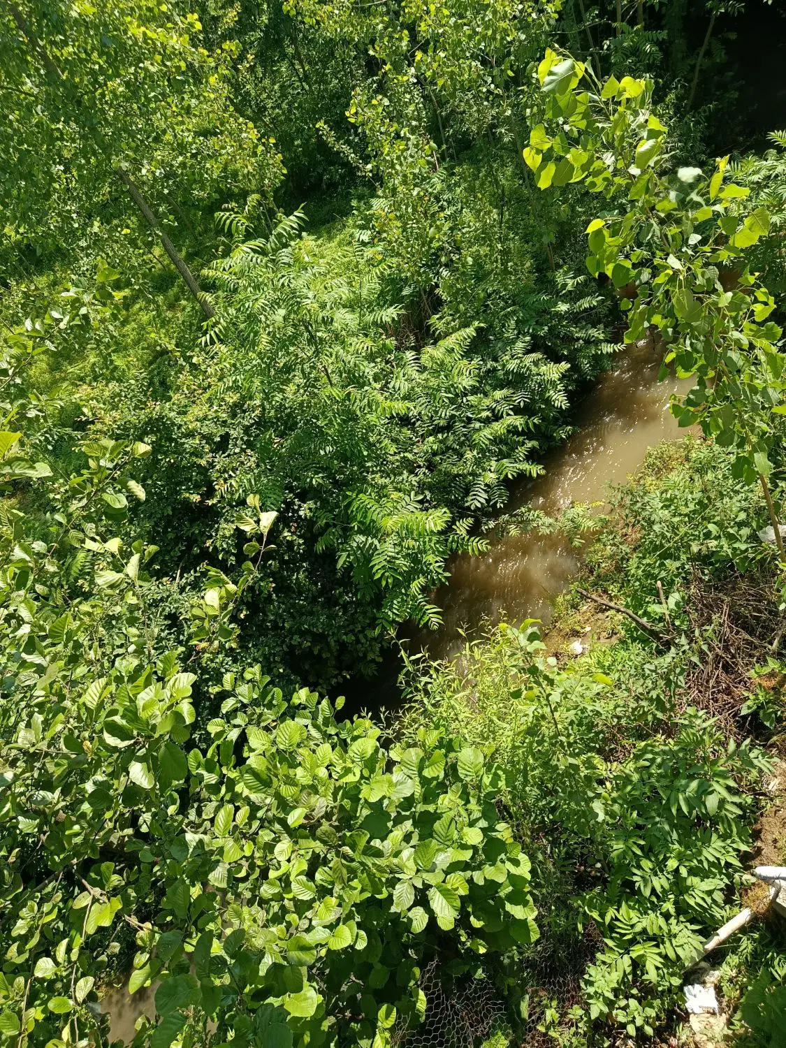 تصویر املاک 110505
