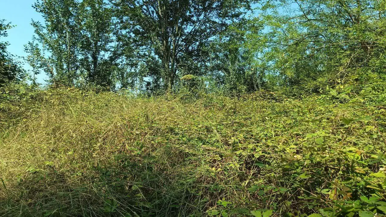 تصویر املاک 126671
