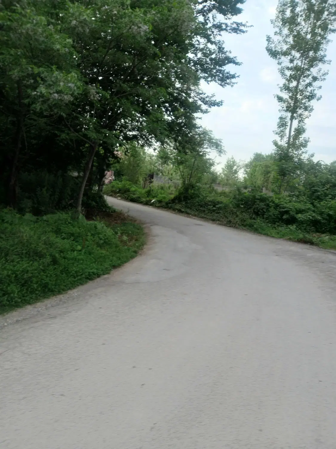 تصویر املاک 62945