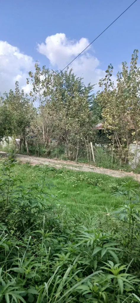 تصویر املاک 140412