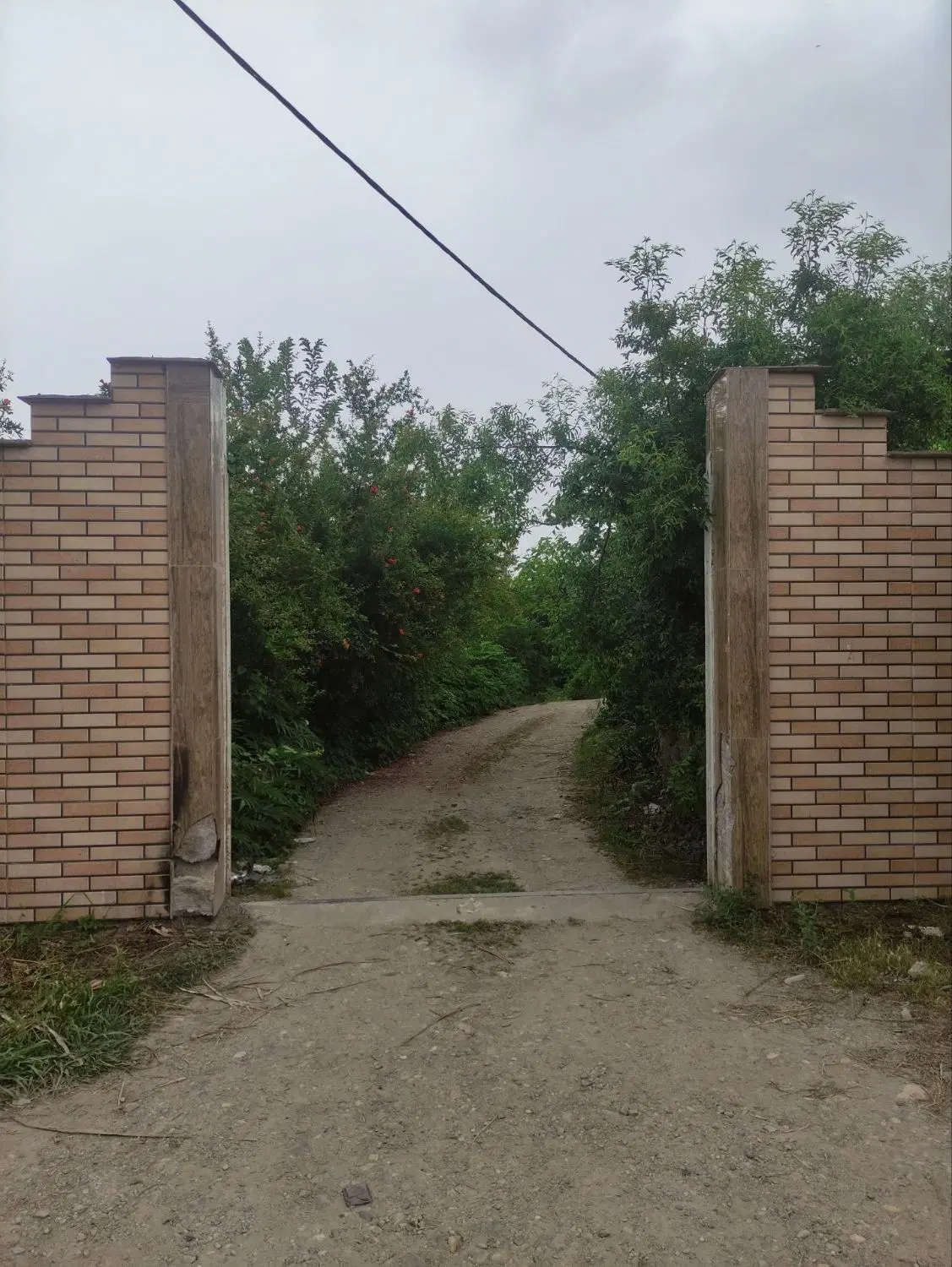 تصویر املاک 46939