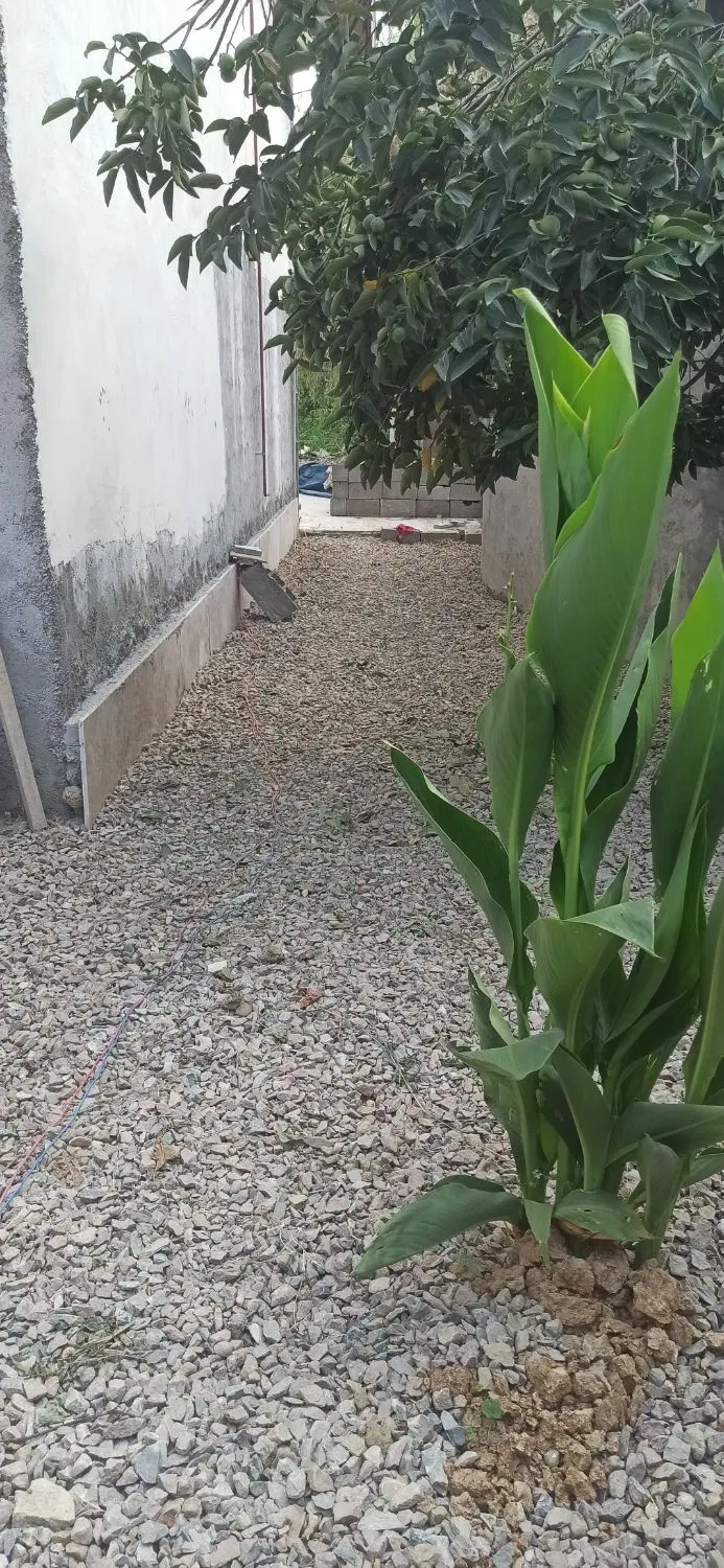 تصویر املاک 126383