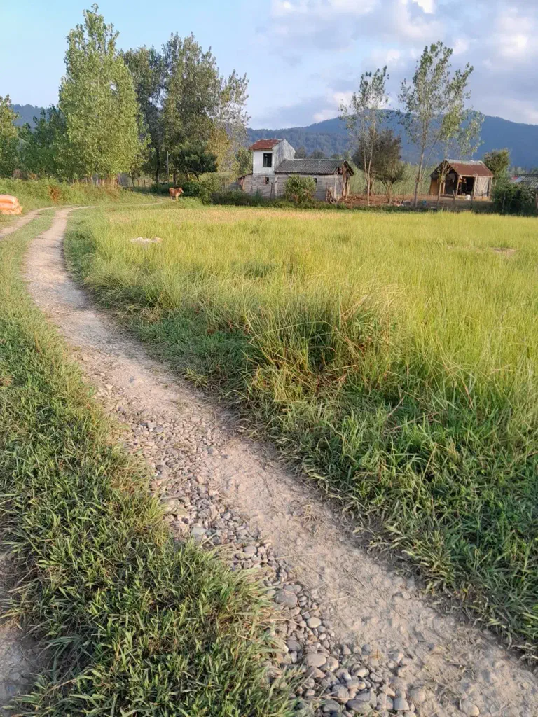 تصویر املاک 138845