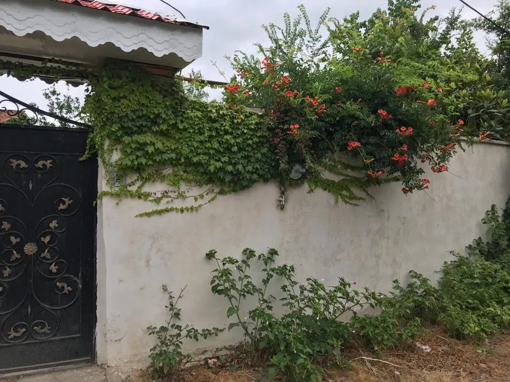 تصویر املاک 134723