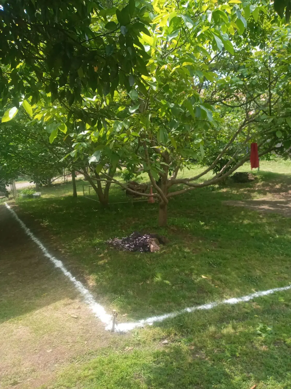 تصویر املاک 80401