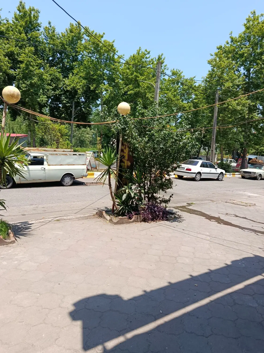 تصویر املاک 53618