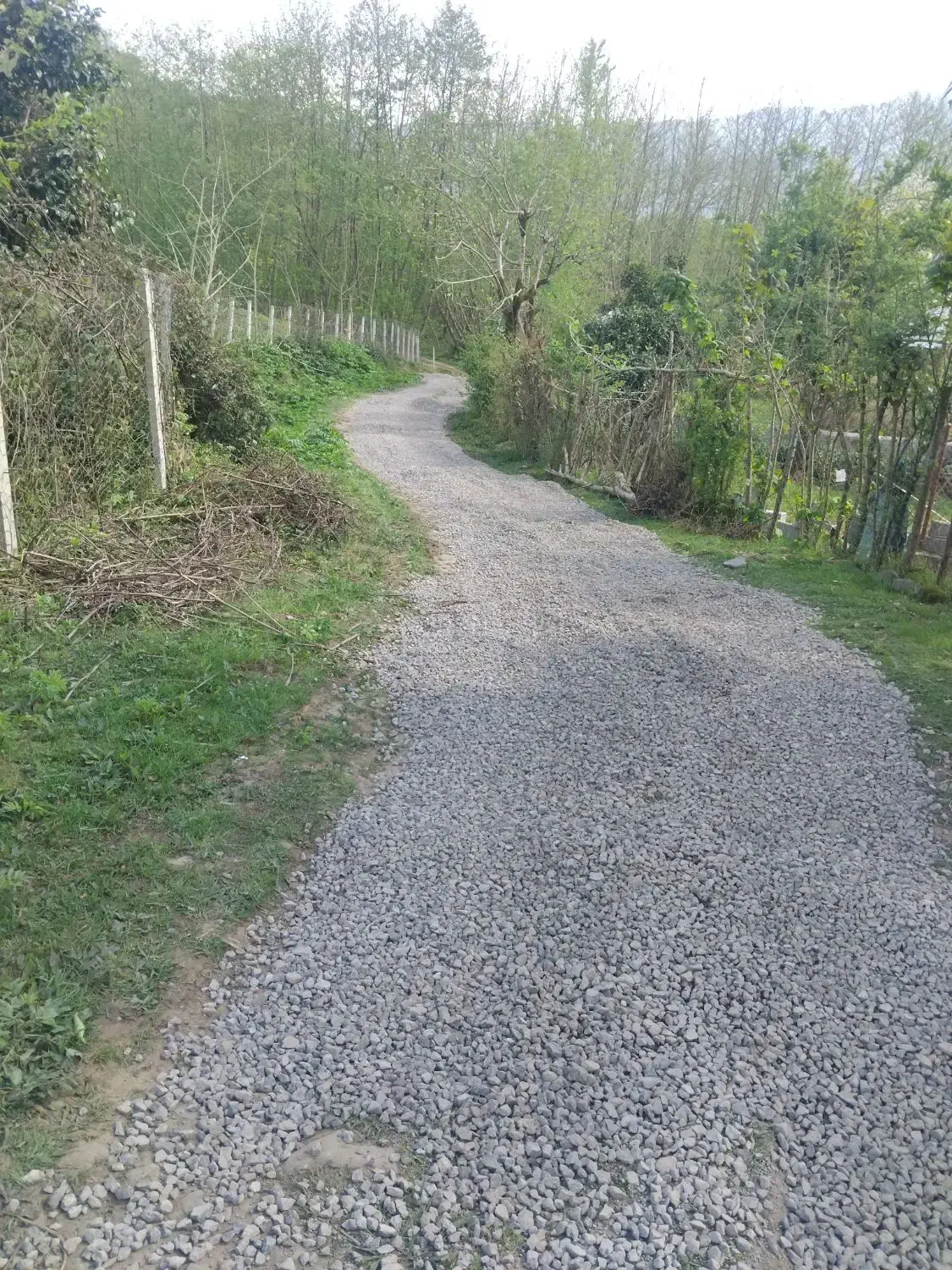 تصویر املاک 38343