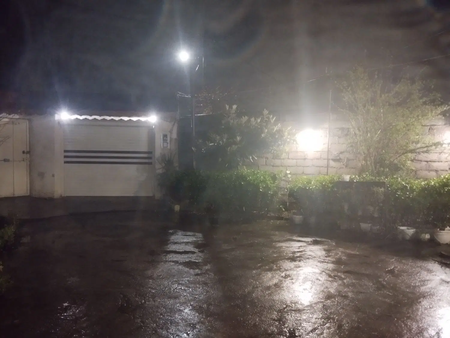 تصویر املاک 72646